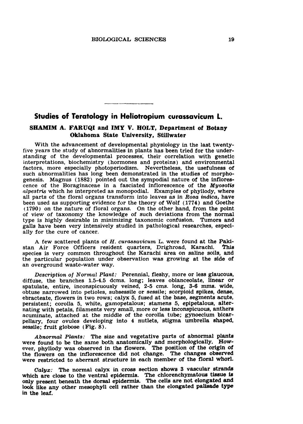 Studies of Teratology in Heliotropium Curassavicum L. SHAMIM A