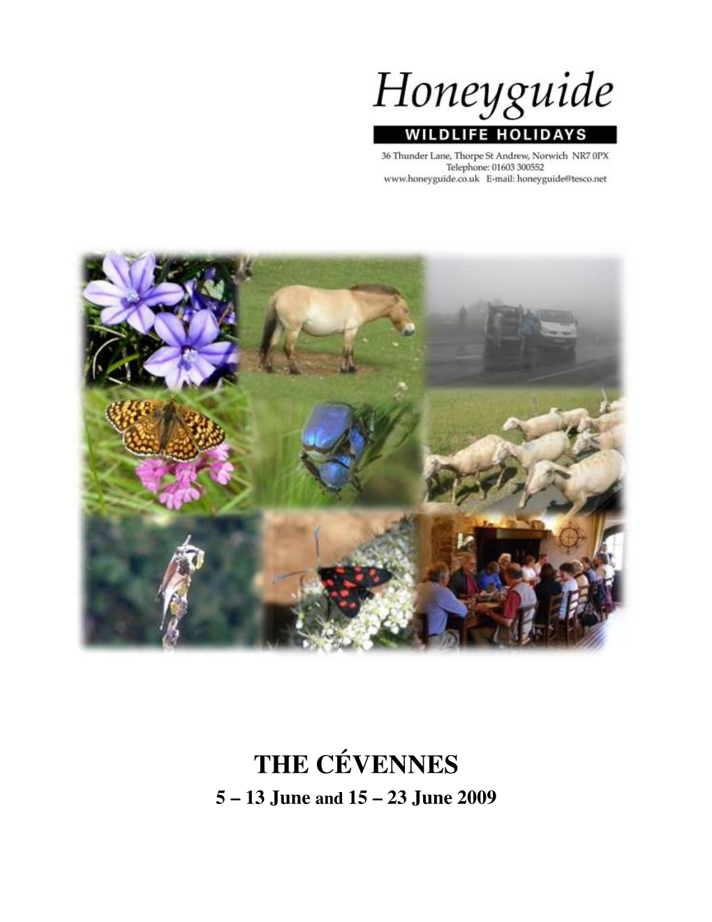 THE CÉVENNES 5 – 13 June and 15 – 23 June 2009