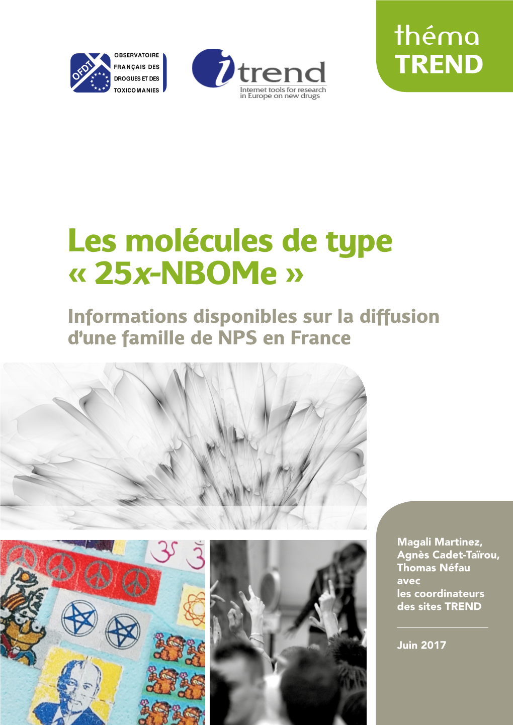 Les Molécules De Type « 25X-Nbome » Informations Disponibles Sur La Diffusion D’Une Famille De NPS En France