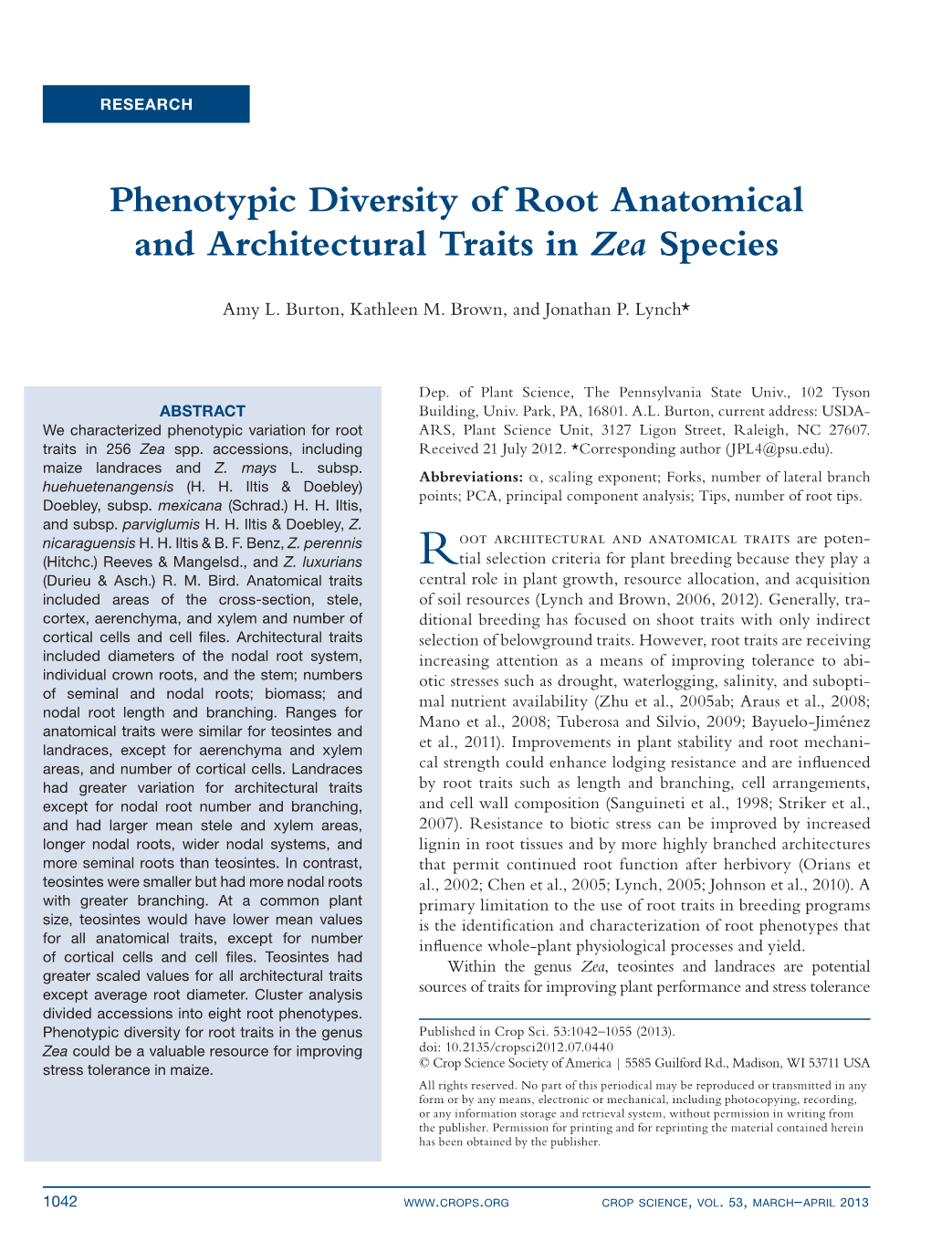 Phenotypic Diversity of Root Anatomical and Architectural Traits in Zea Species