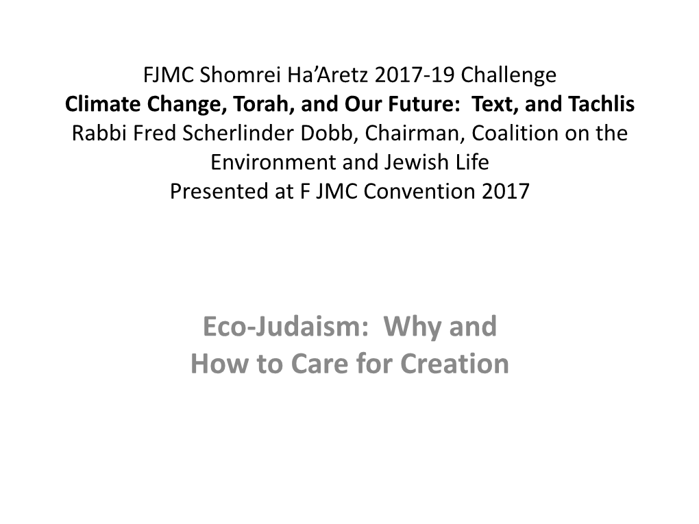 Eco-Judaism: Why and How to Care for Creation