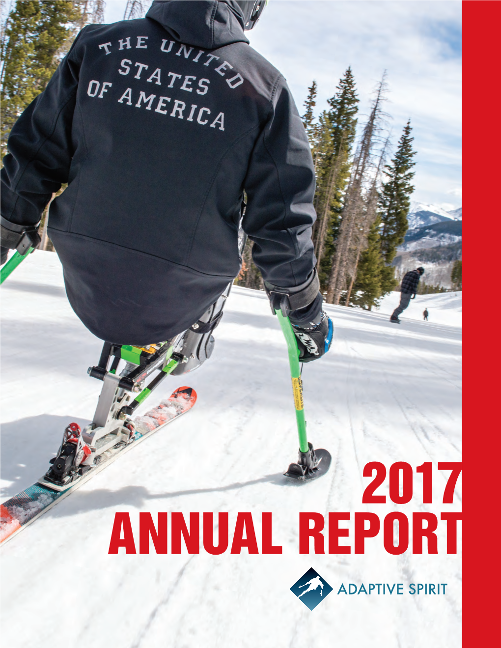 2017 Annual Report