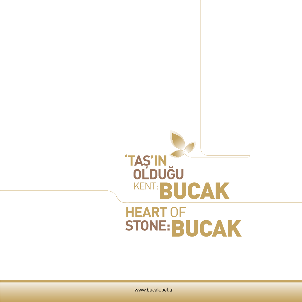 'Taş'in Olduğu Heart of Stone:Bucak