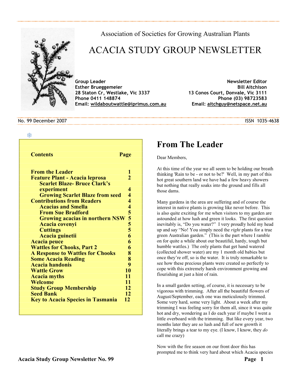 Acacia Leprosa