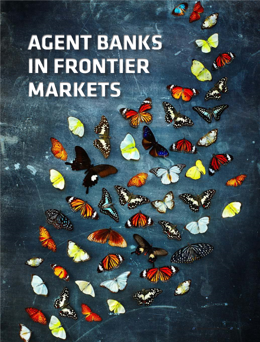 Agent Banks in Frontier Markets