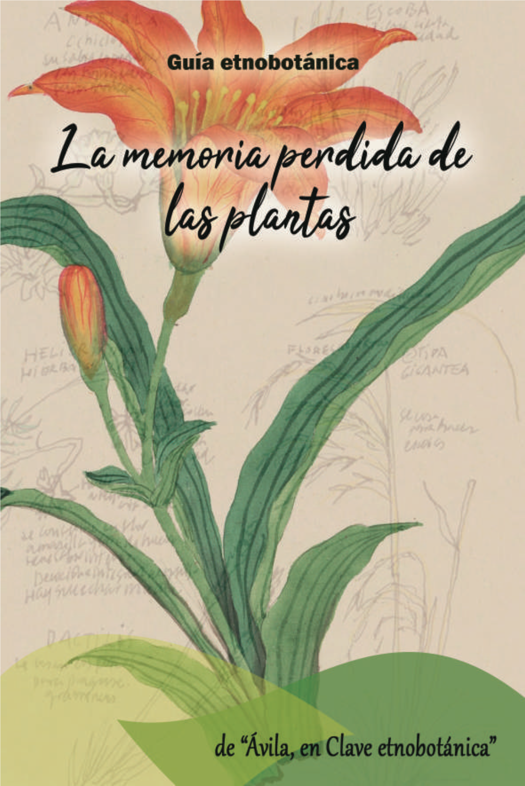 La Memoria Perdida De Las Plantas Guía Etnobotánica