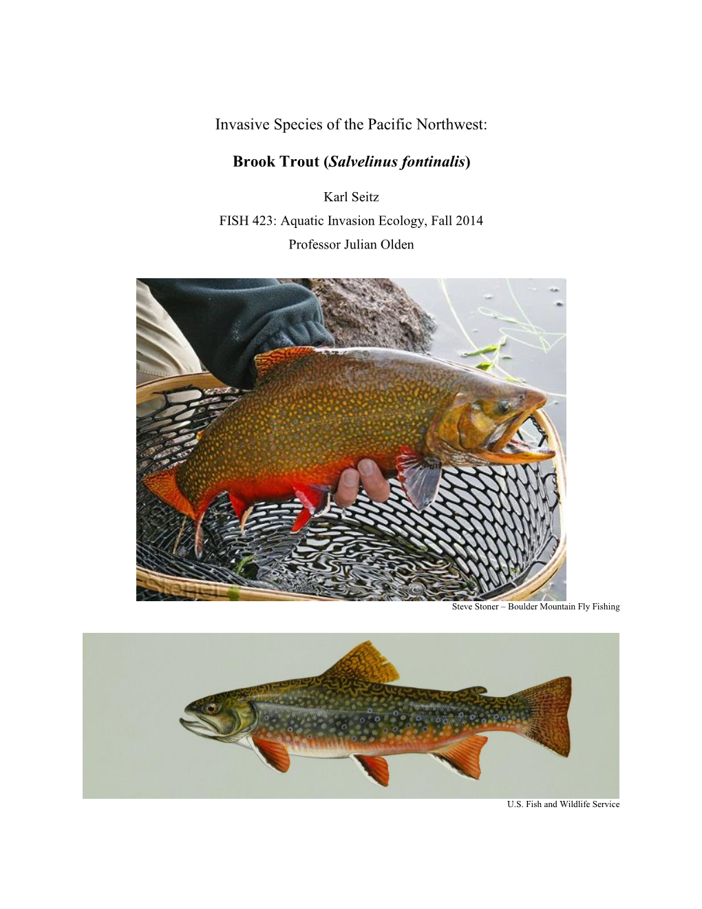 Invasive Species of the Pacific Northwest: Brook Trout (Salvelinus