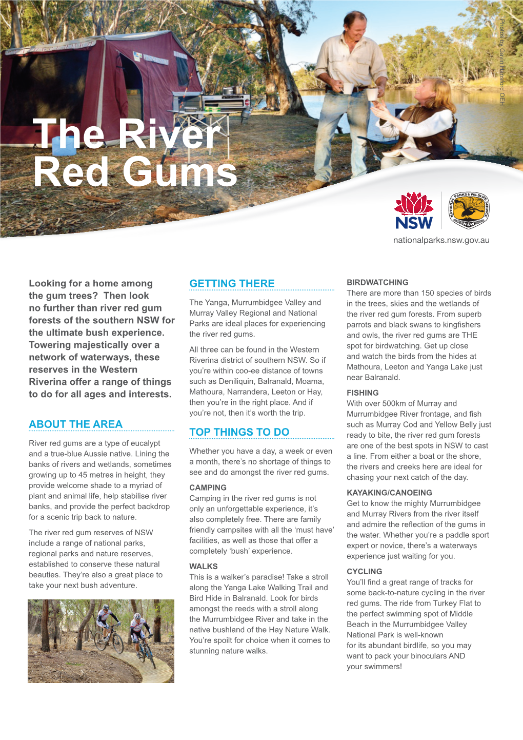 The River Red Gums