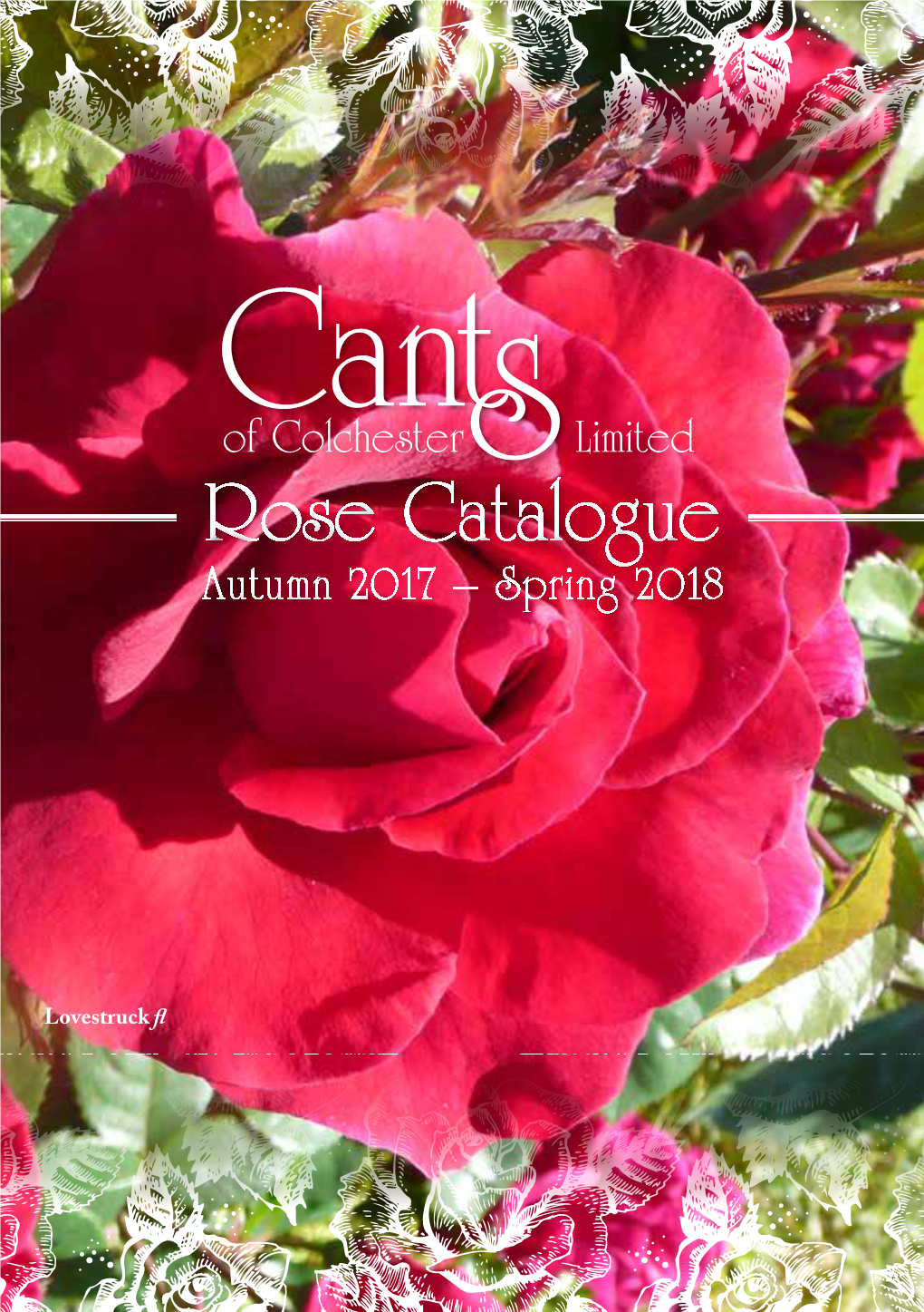 Rose Catalogue Rose Catalogue