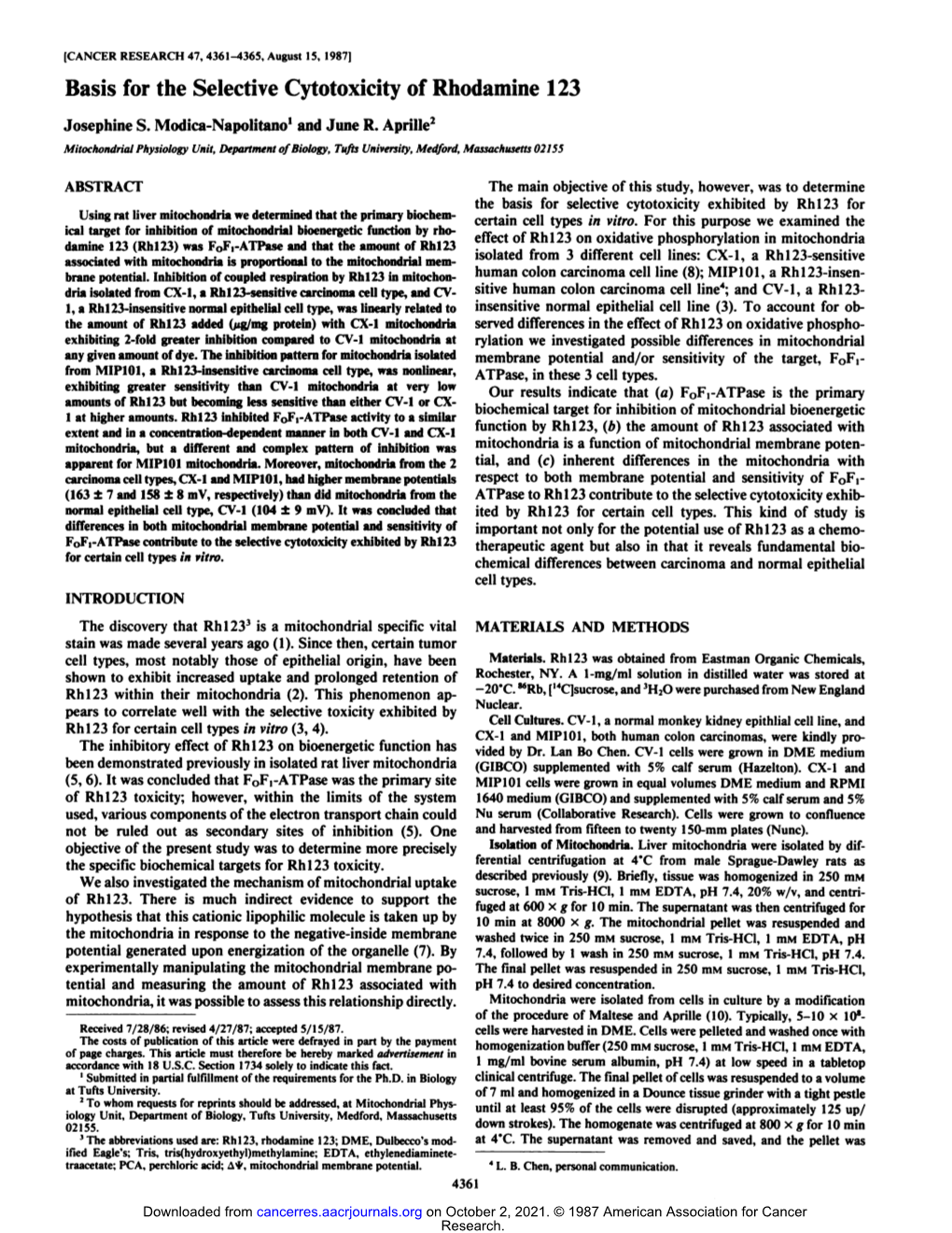 Basis for the Selective Cytotoxicity of Rhodamine 123 Josephine S