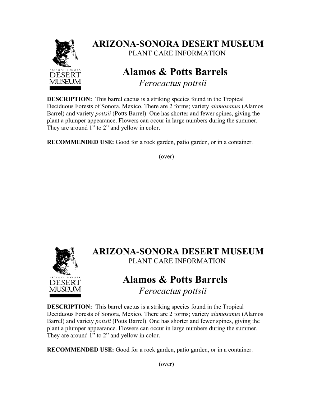 Alamos & Potts Barrels Ferocactus Pottsii