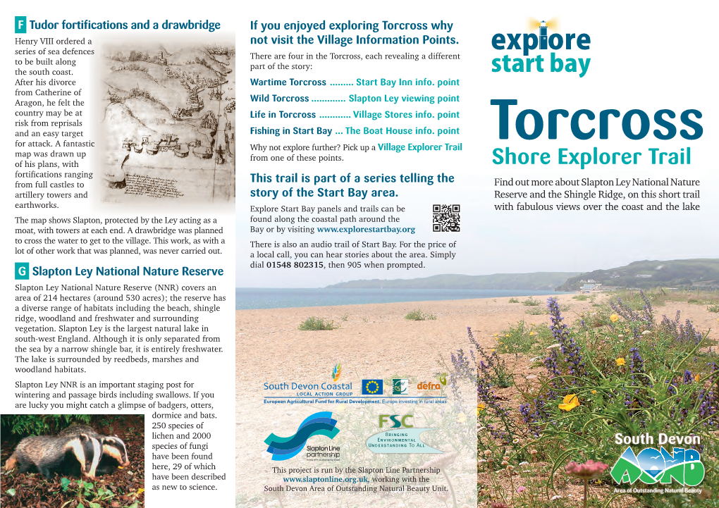 Explore Torcross Shore