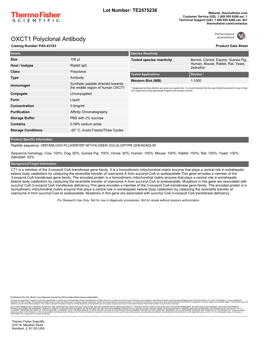 OXCT1 Polyclonal Antibody Catalog Number PA5-43183 Product Data Sheet