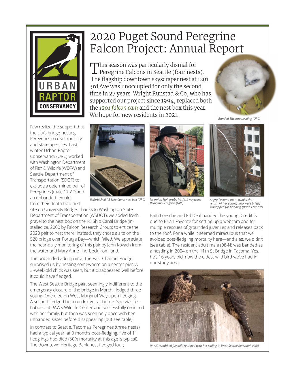 2020 Puget Sound Peregrine Falcon Project: Annual Report