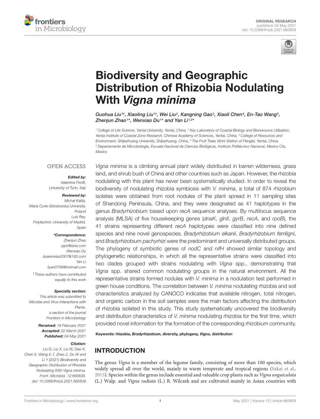 Biodiversity and Geographic Distribution of Rhizobia Nodulating with Vigna Minima