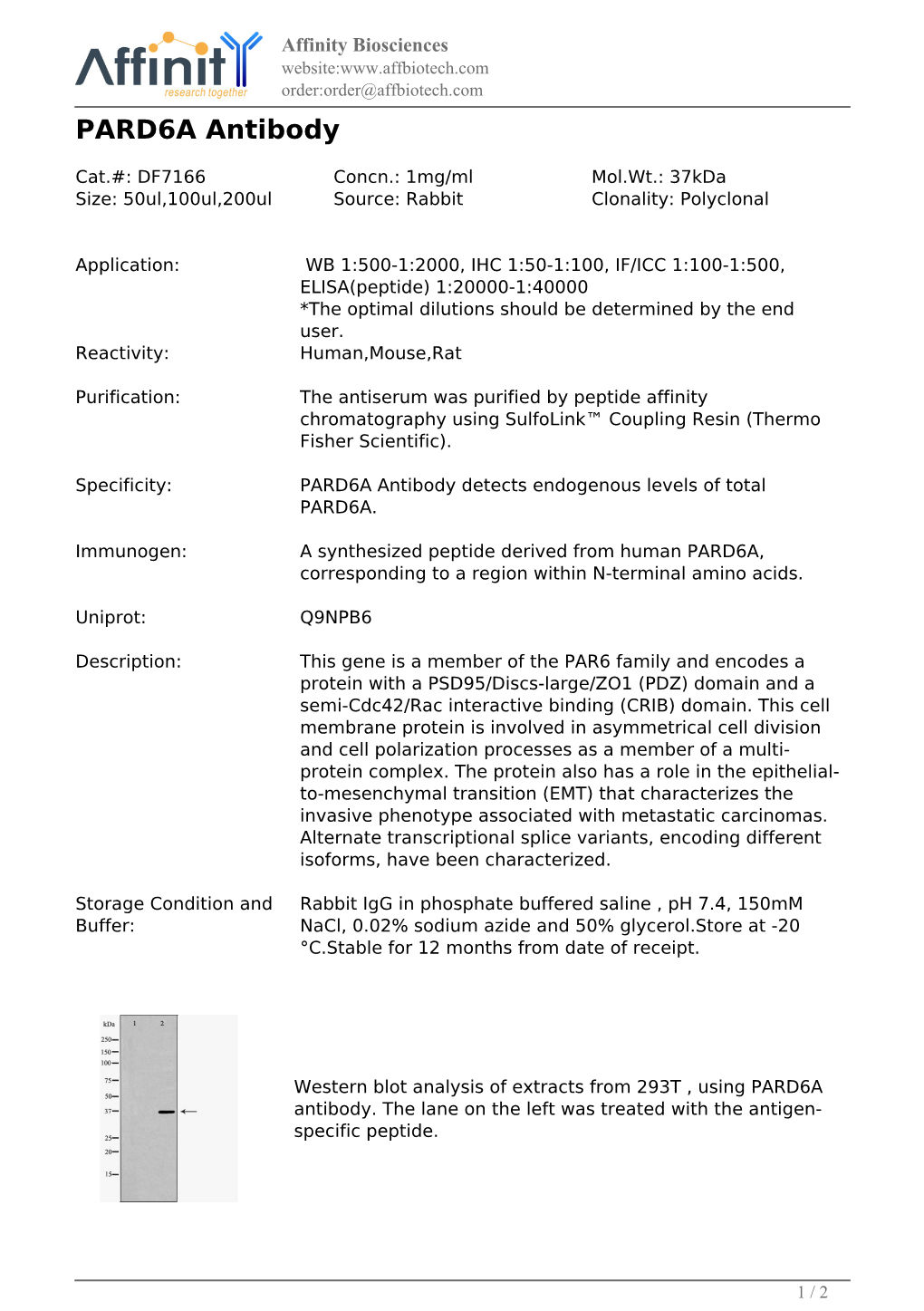 DF7166-PARD6A Antibody