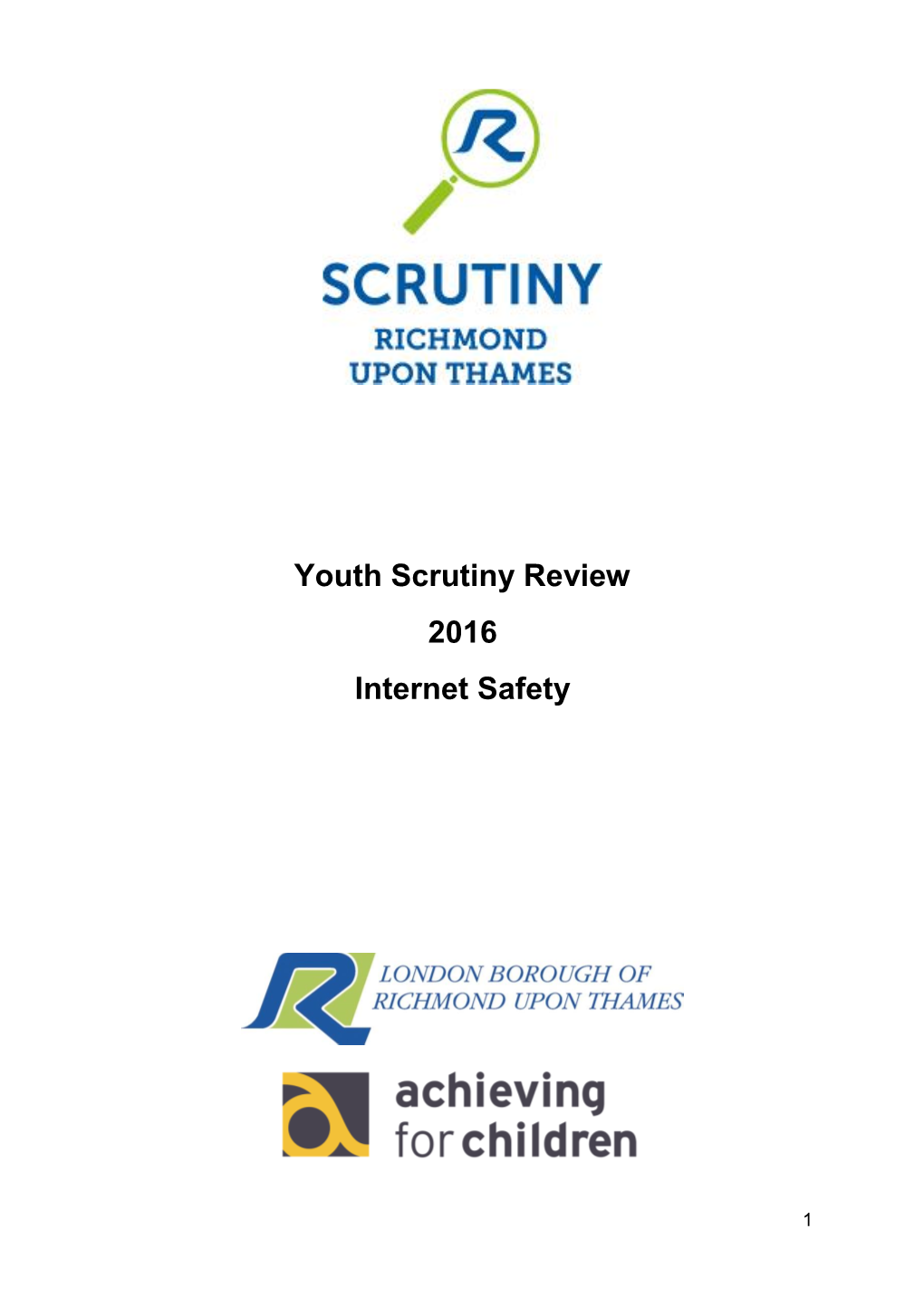 Youth Scrutiny Review 2016 Internet Safety