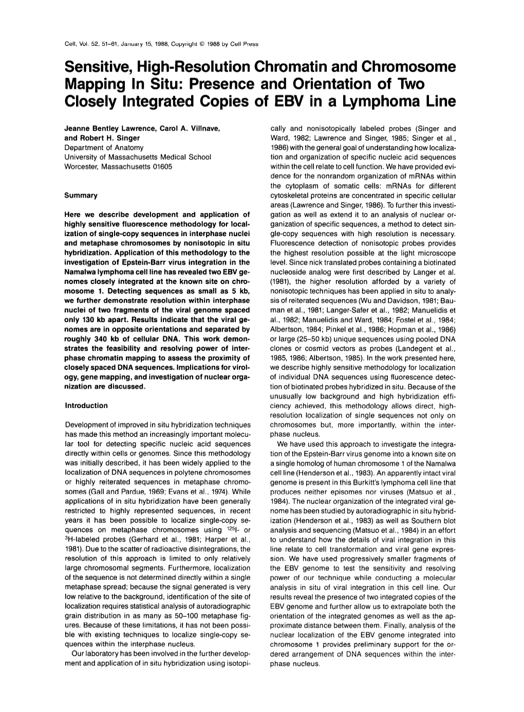 Sensitive, High-Resolution Chromatin and Chromosome Mapping in Situ: Presence and Orientation of Two Closely Integrated Copies of EBV in a Lymphoma Line