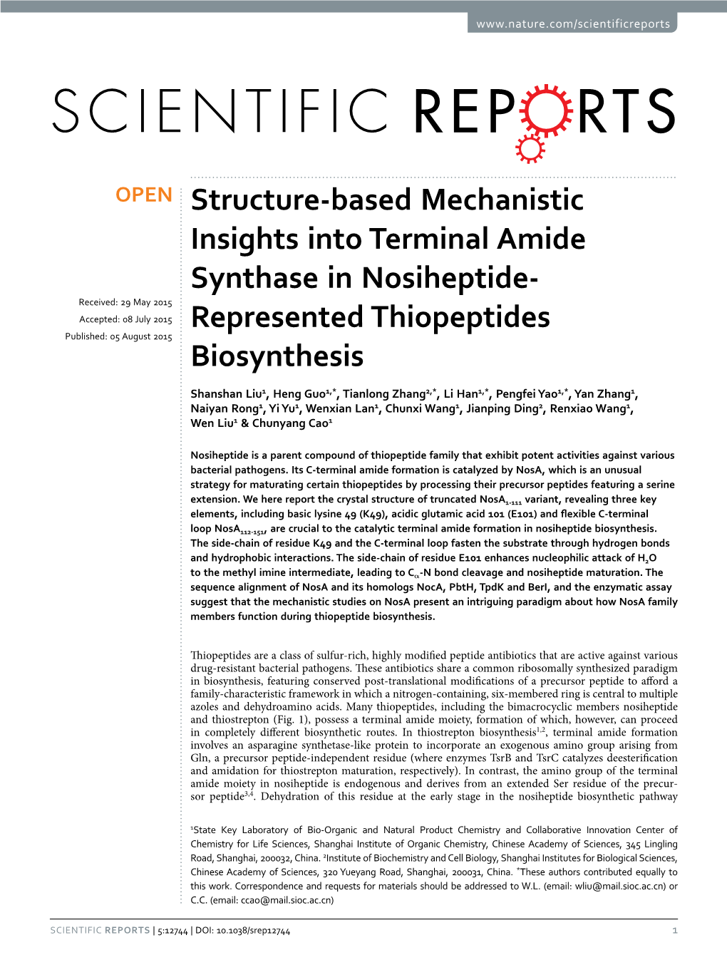 Structure-Based Mechanistic Insights Into Terminal Amide Synthase In