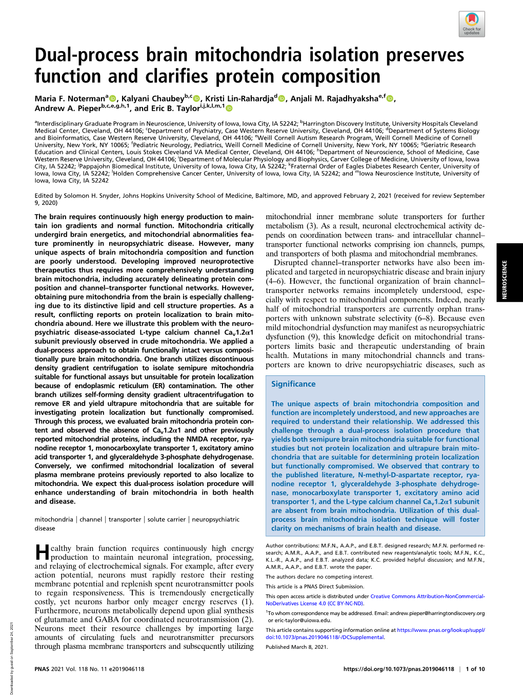 Dual-Process Brain Mitochondria Isolation Preserves Function and Clarifies Protein Composition