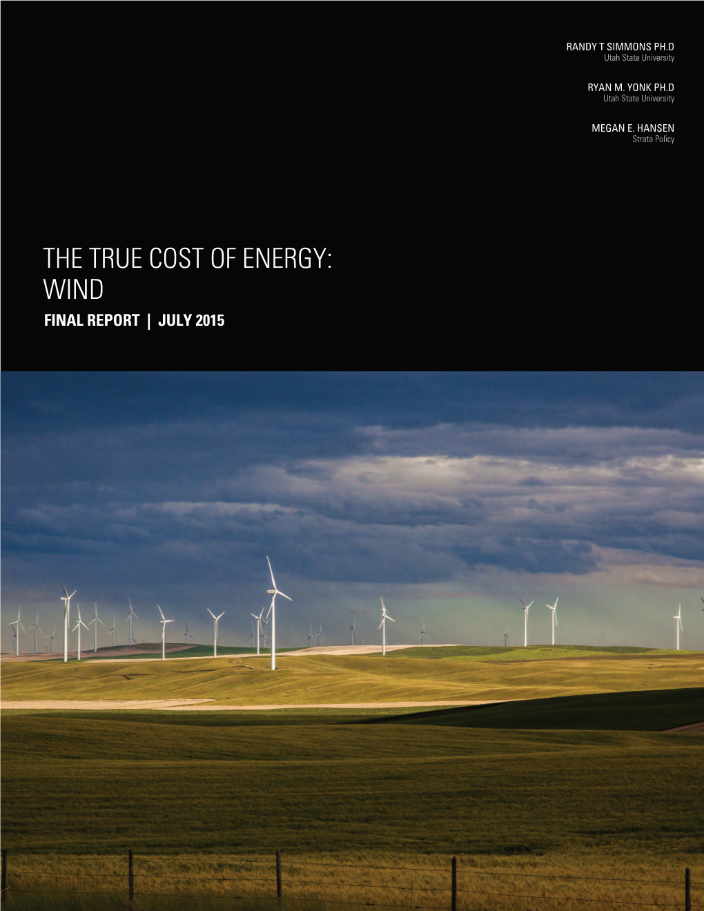 The True Cost of Energy: Wind Power