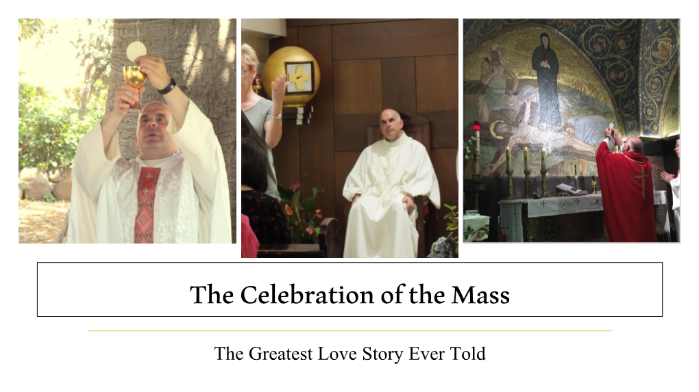 The Celebration of the Mass the Greatest Love Story Ever Told My Homily 1