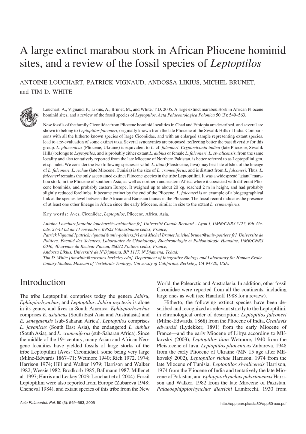 A Large Extinct Marabou Stork in African Pliocene Hominid Sites, and a Review of the Fossil Species of Leptoptilos