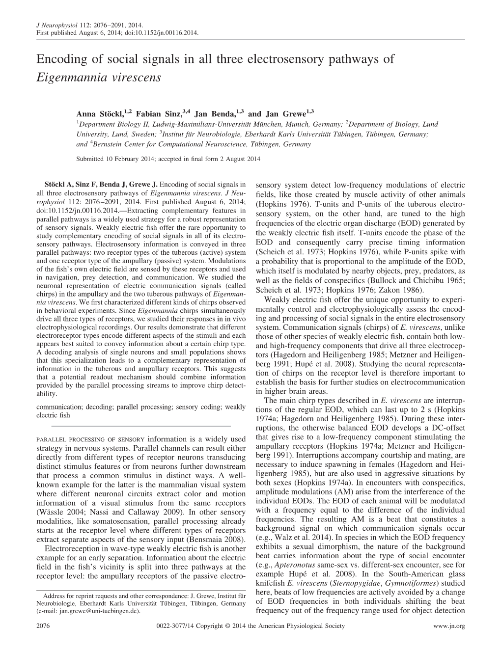 Encoding of Social Signals in All Three Electrosensory Pathways of Eigenmannia Virescens