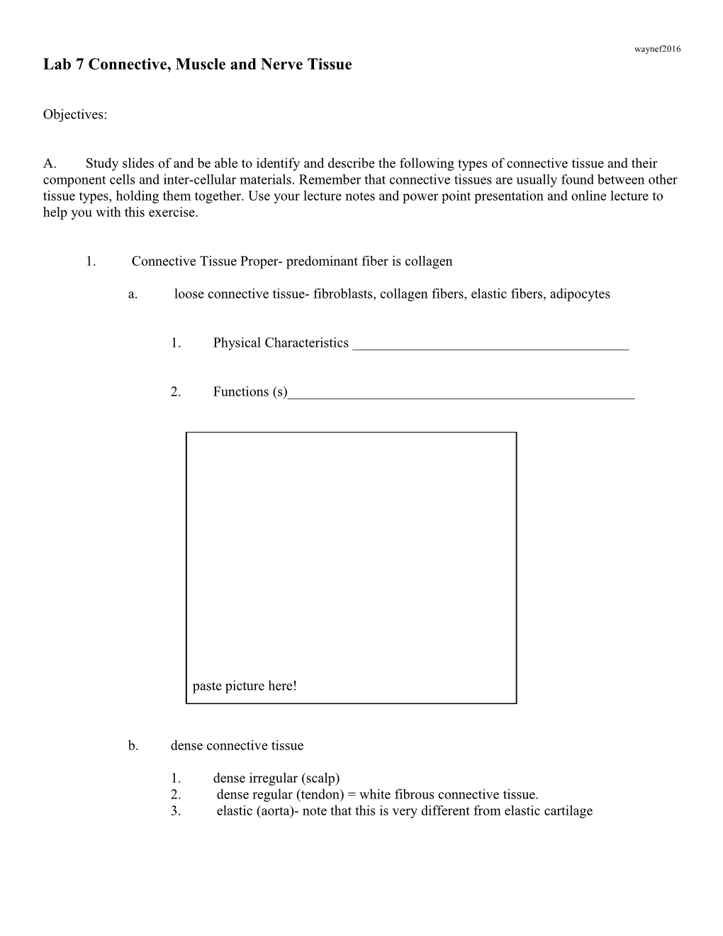 Lab 4 Connective Tissues