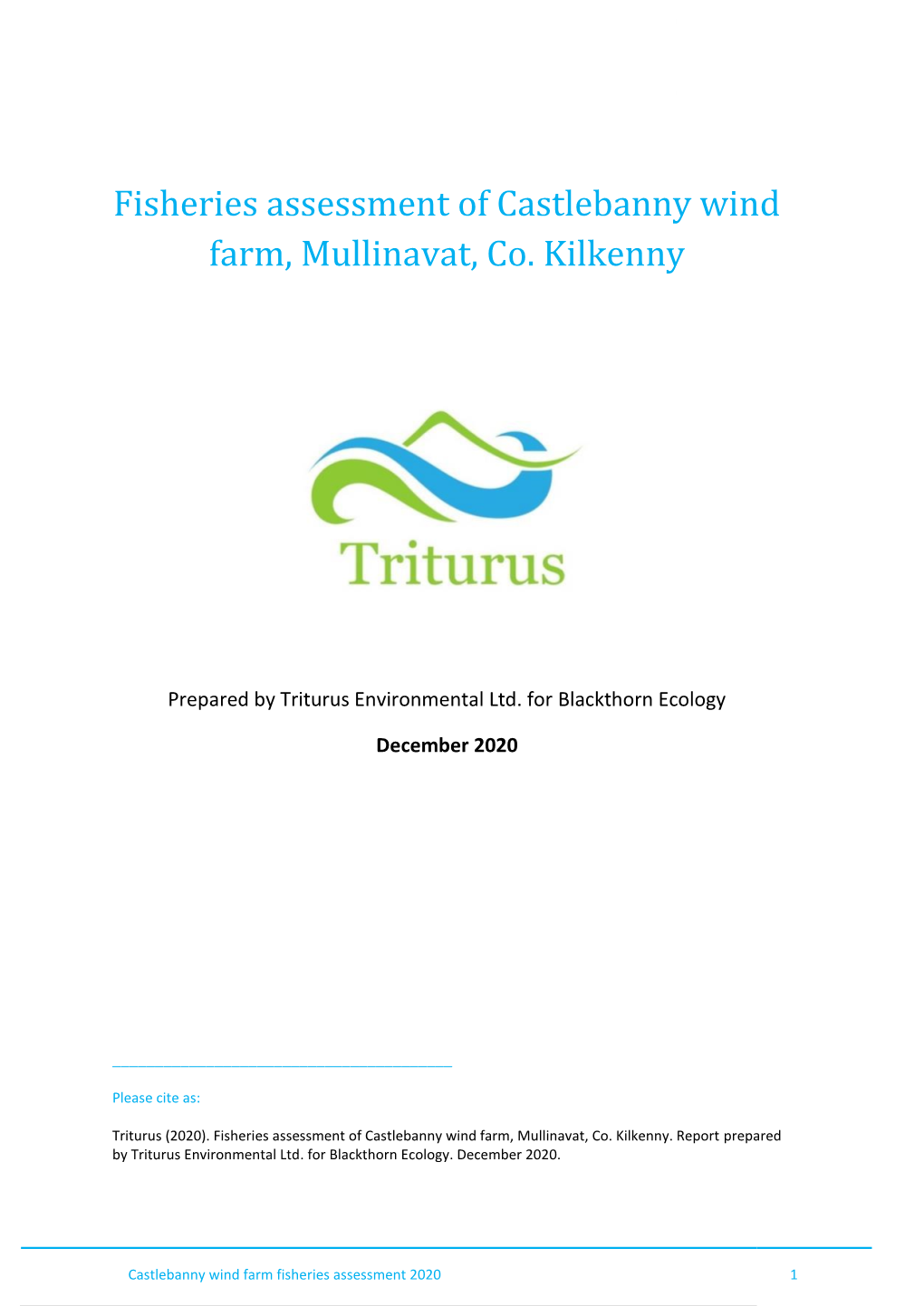 Fisheries Assessment of Castlebanny Wind Farm, Mullinavat, Co. Kilkenny