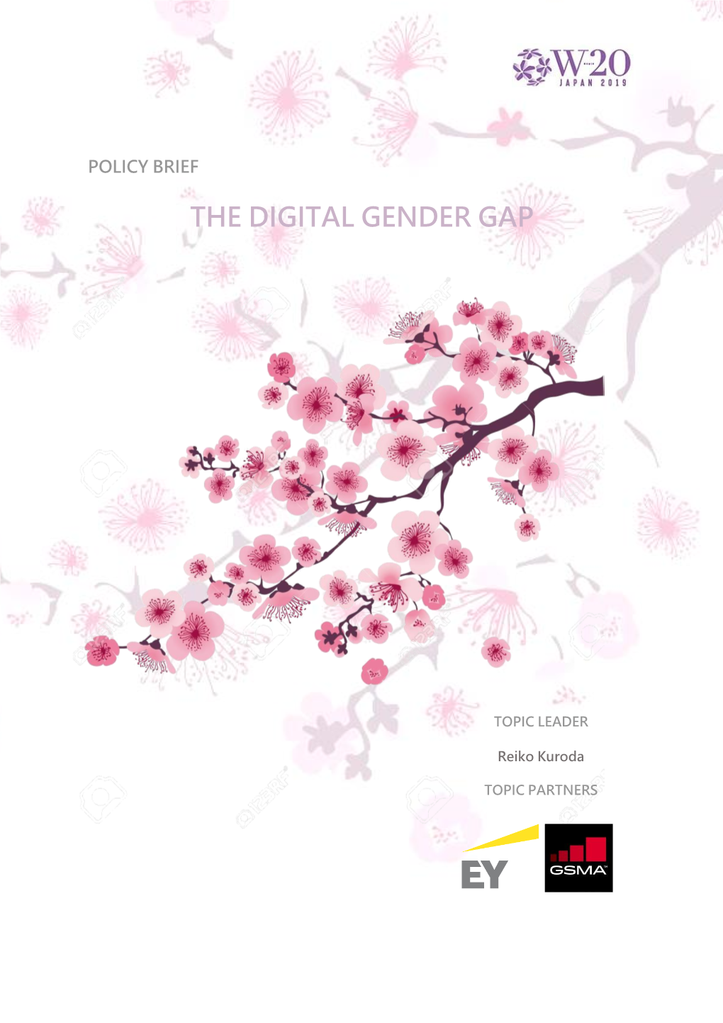 The Digital Gender Gap