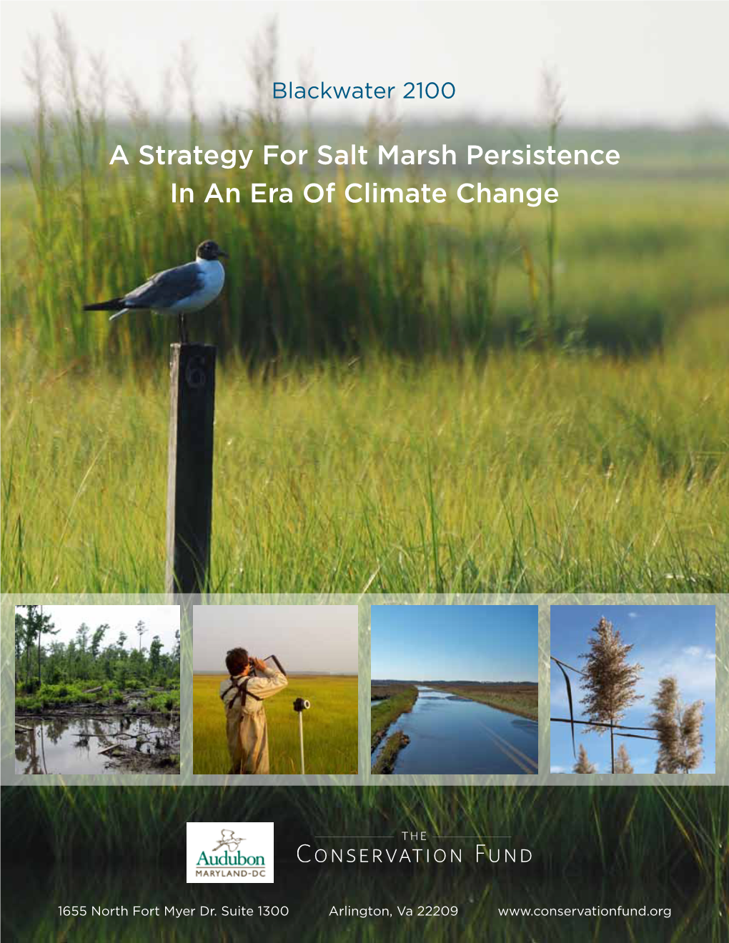 Blackwater 2100: a Strategy for Salt Marsh Persistence in an Era of Climate Change, 2013, the Conservation Fund (Arlington, VA) and Audubon MD-DC (Baltimore, MD)
