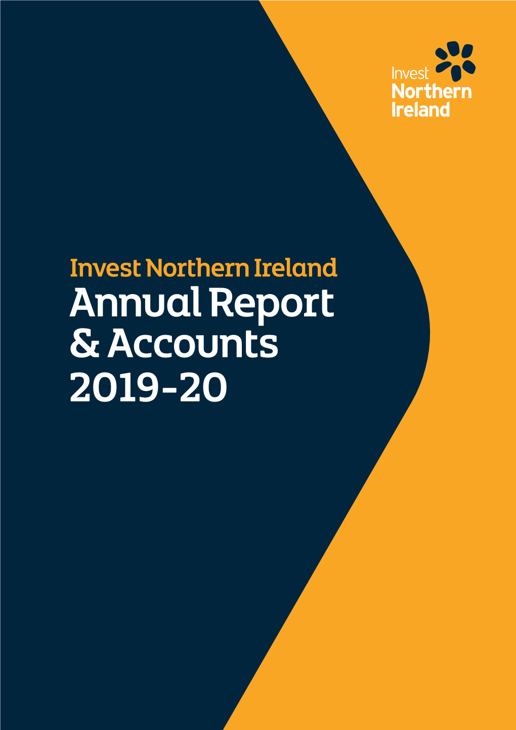 Annual Report & Accounts 2019-20
