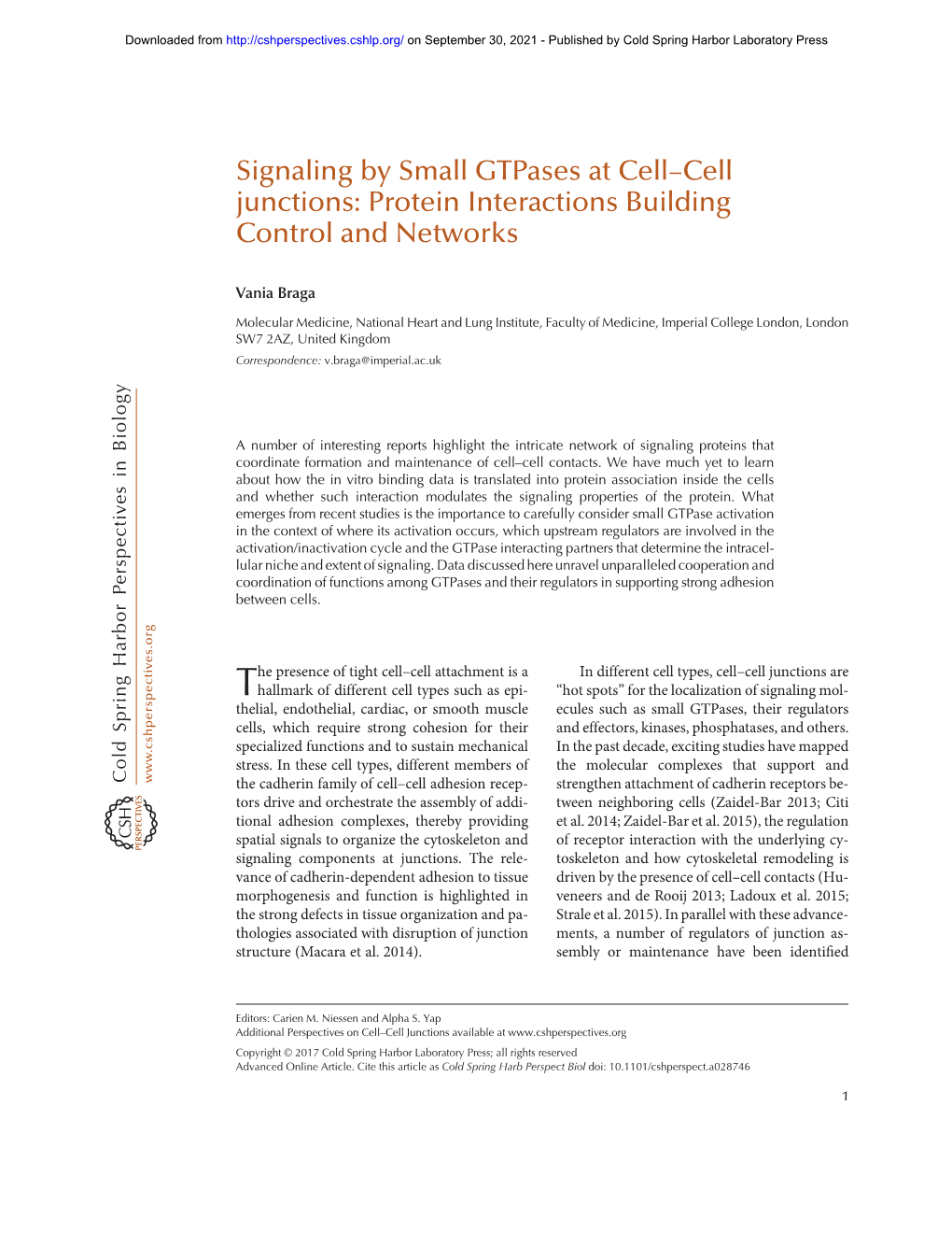 Signaling by Small Gtpases at Cell–Cell Junctions: Protein Interactions Building Control and Networks