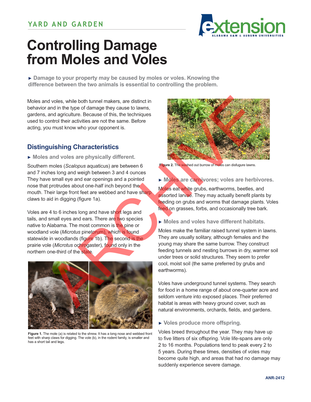 Controlling Damage from Moles and Voles
