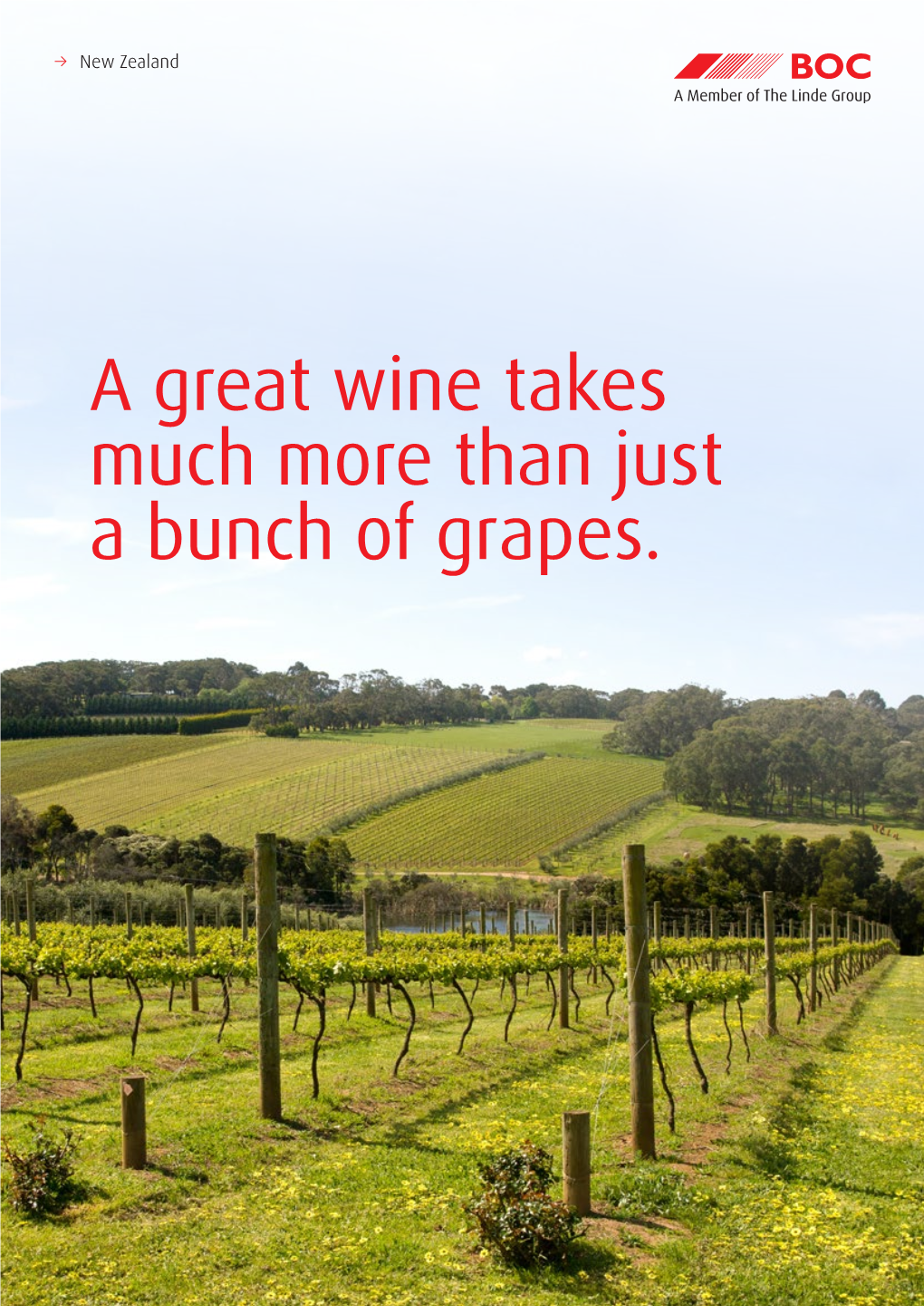 A Great Wine Takes Much More Than Just a Bunch of Grapes. 2 BOC Winery Solutions