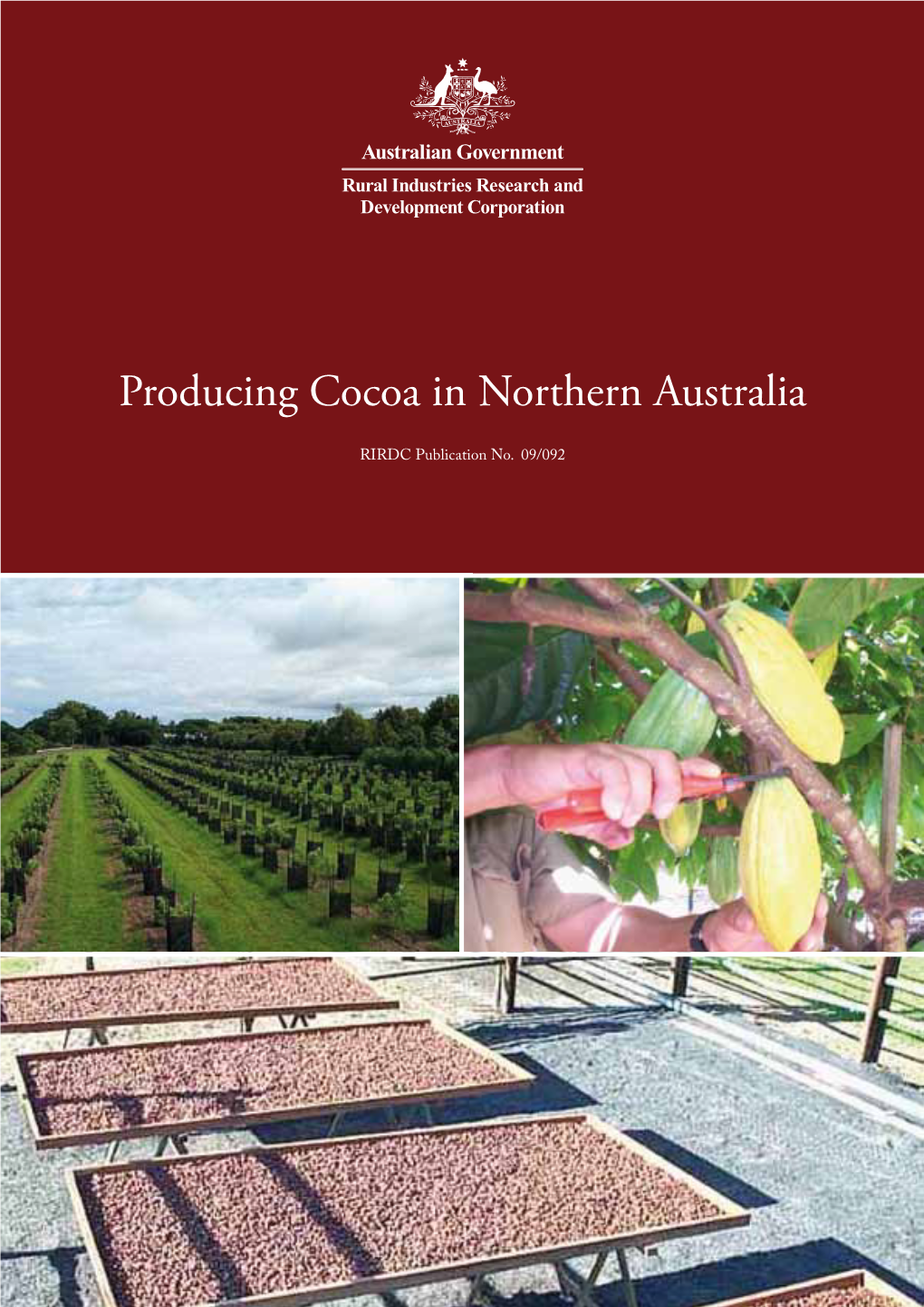 Producing Cocoa in Northern Australia