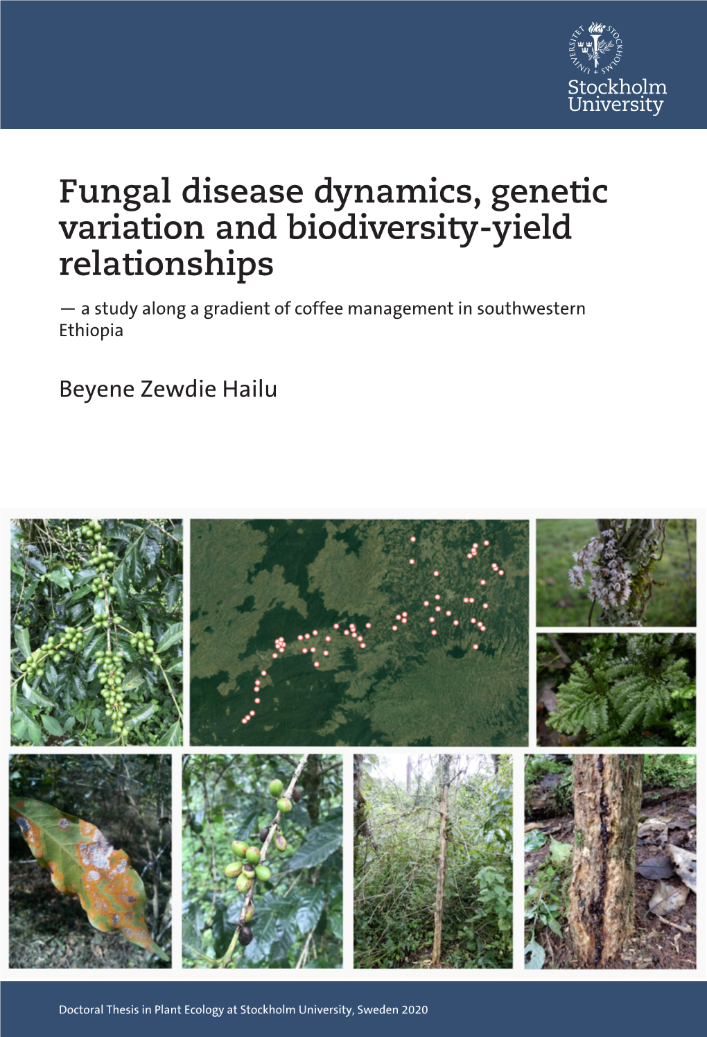 Fungal Disease Dynamics, Genetic Variation and Biodiversity-Yield Relationships