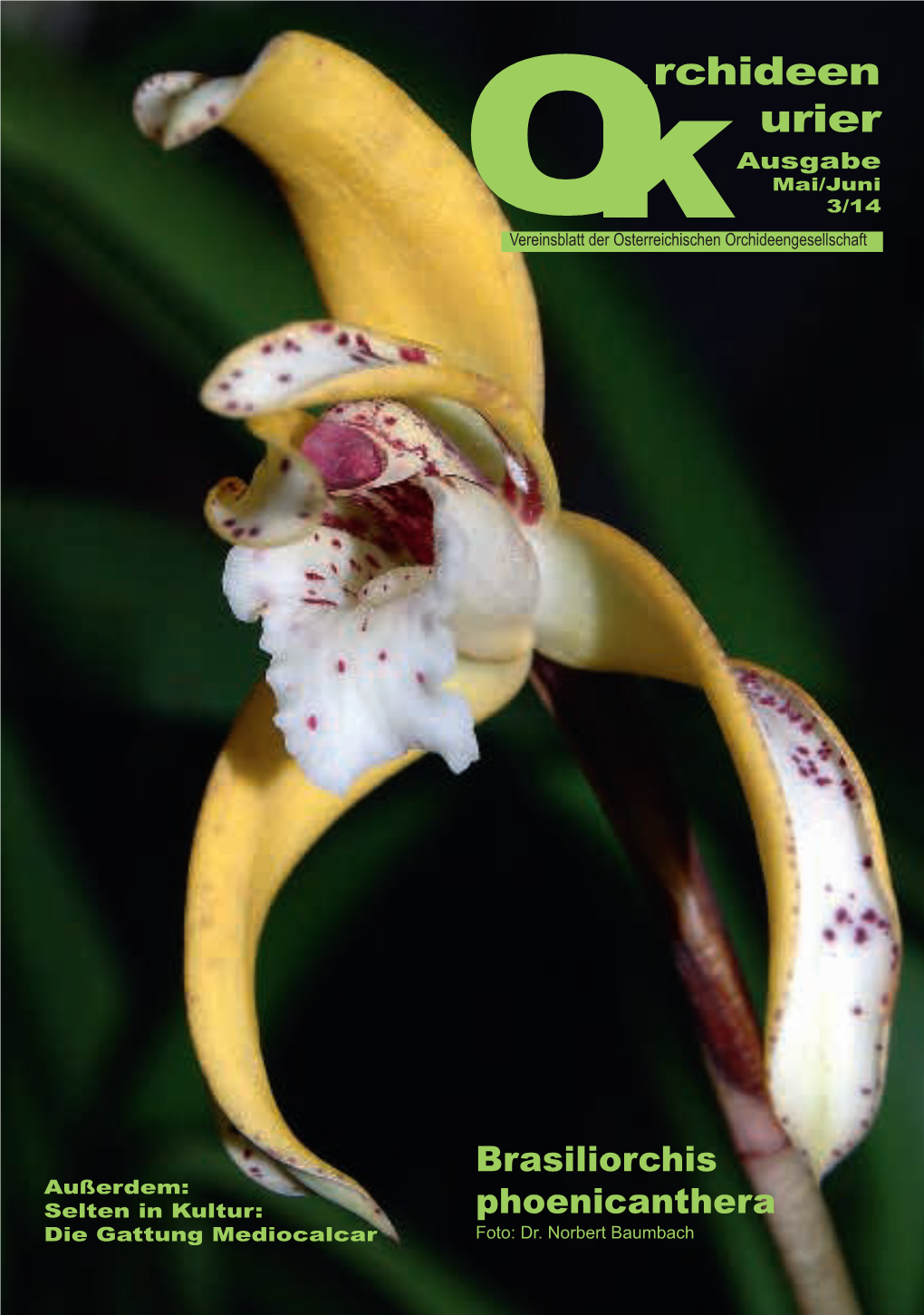 Rchideen Urier Ausgabe Mai/Juni 3/14 Overeinsblatt Derk Österreichischen Orchideengesellschaft