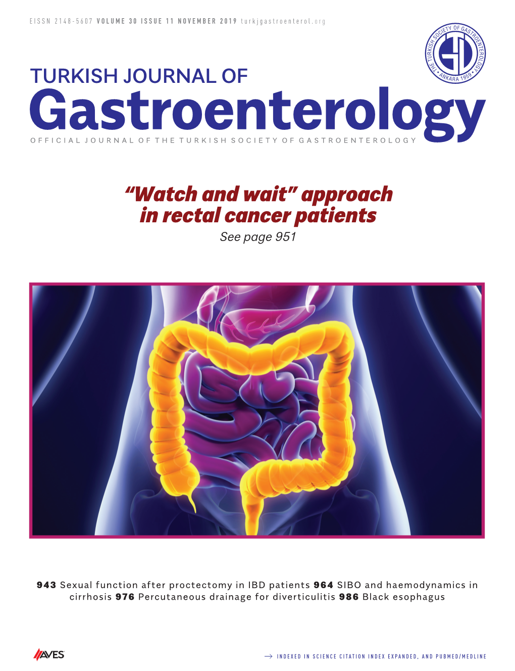 Approach in Rectal Cancer Patients See Page 951