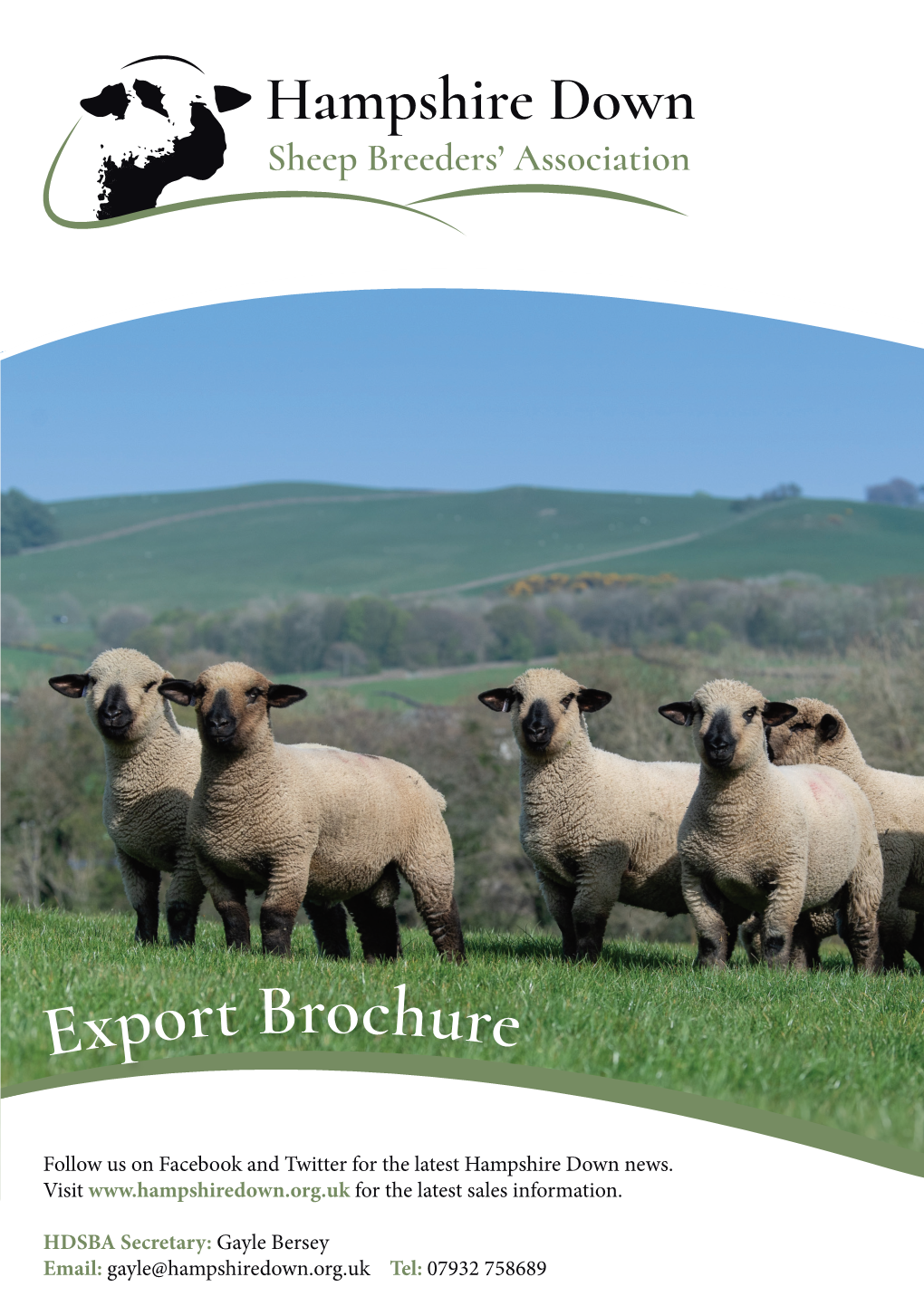 Export Brochure