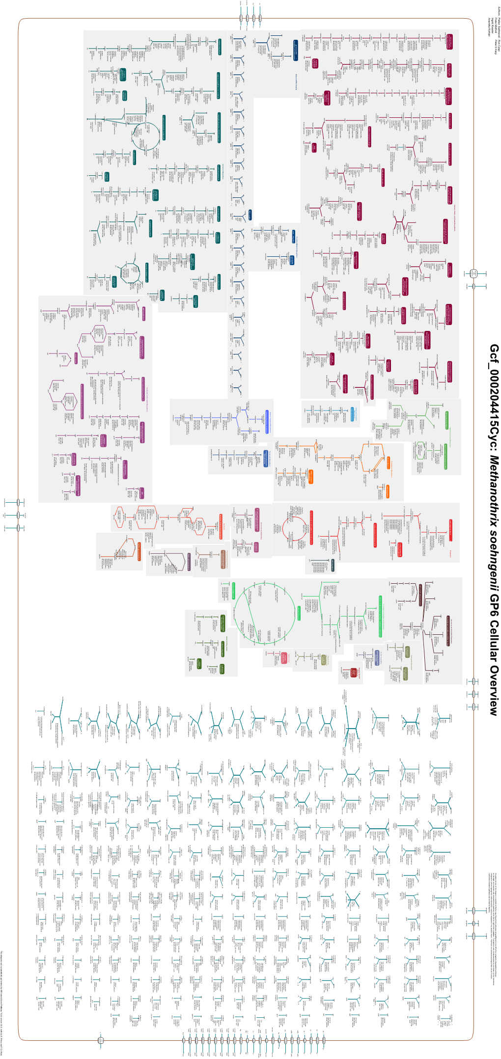 Generated by SRI International Pathway Tools Version 25.0, Authors S