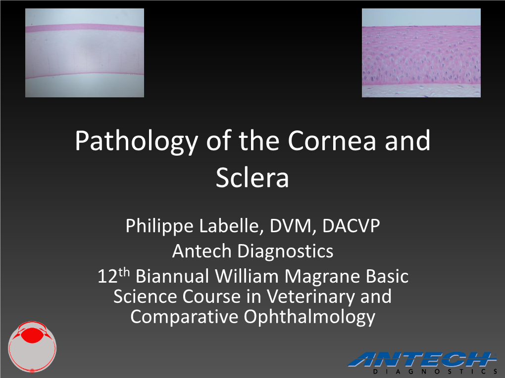 Pathology of the Cornea and Sclera