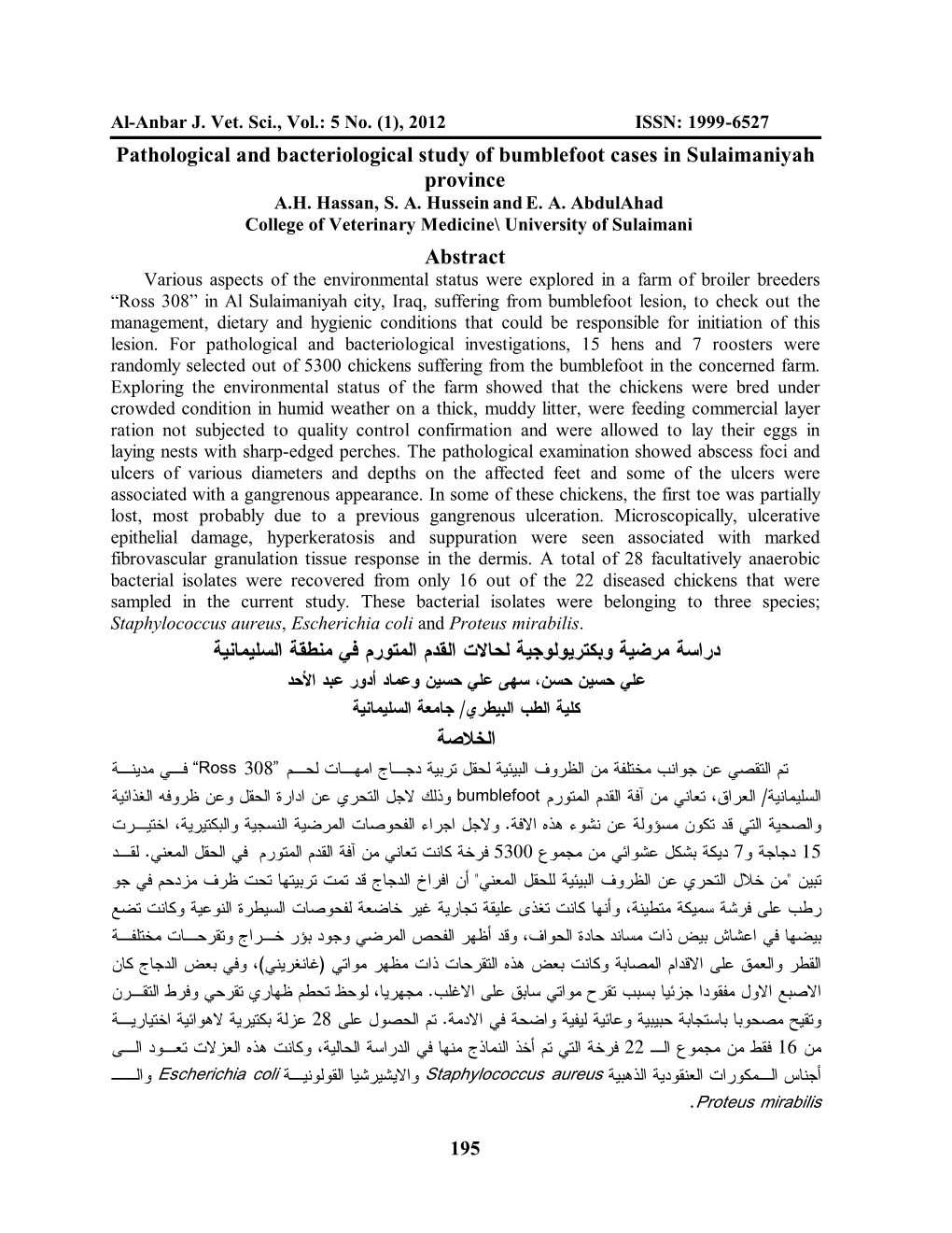 Pathological and Bacteriological Study of Bumblefoot Cases in Sulaimaniyah Province Abstract ﺩﺭﺍﺴﺔ ﻤﺭﻀﻴﺔ ﻭ