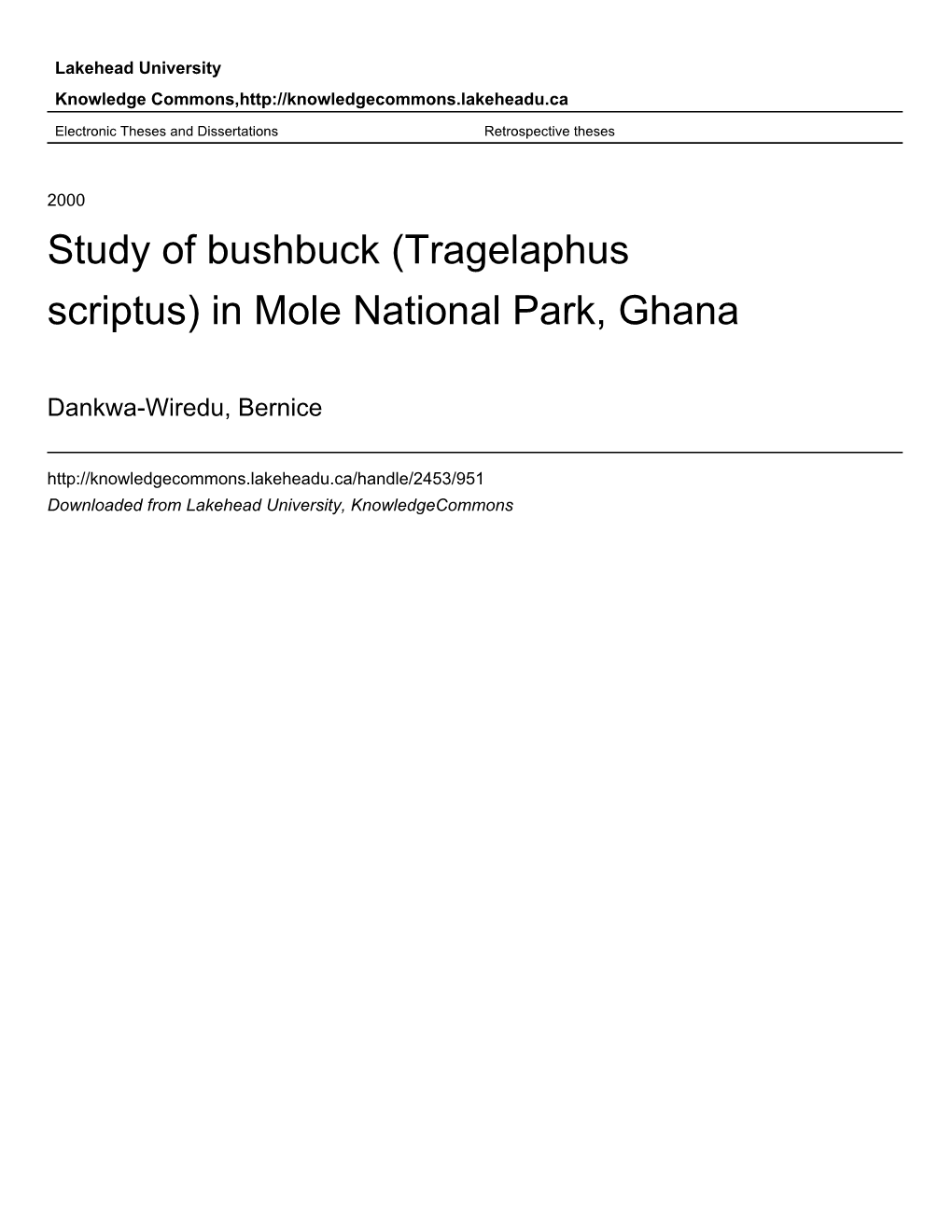 Tragelaphus Scriptus) in Mole National Park, Ghana