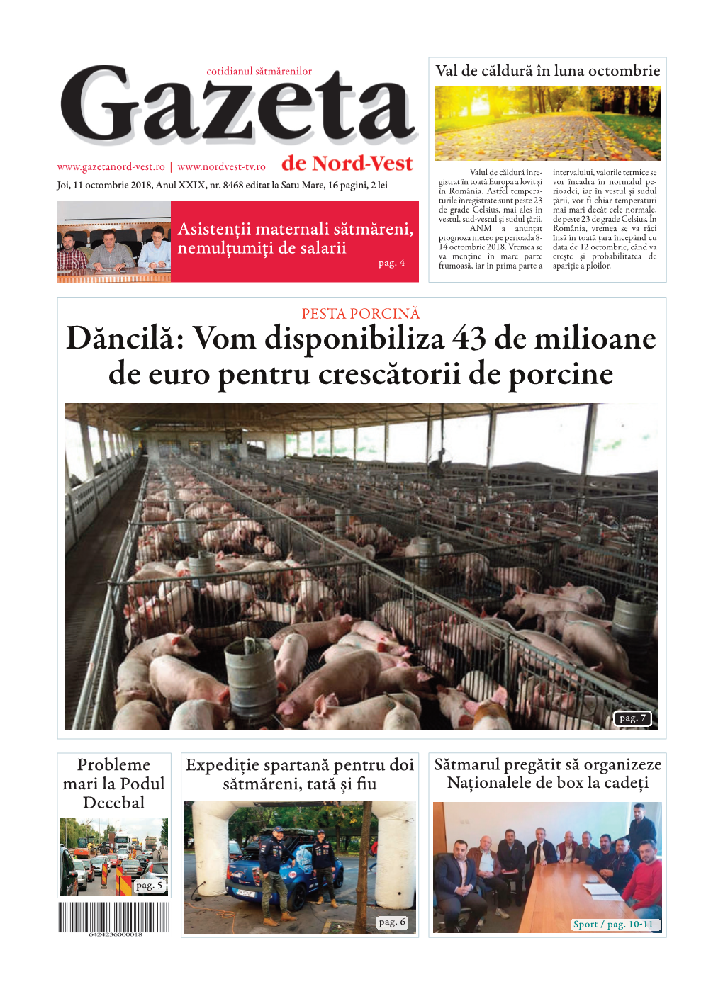 Dăncilă: Vom Disponibiliza 43 De Milioane De Euro Pentru Crescătorii De Porcine