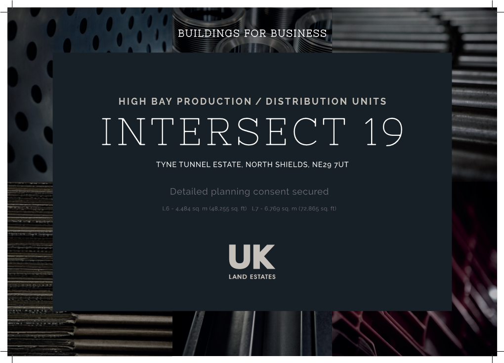 Intersect 19