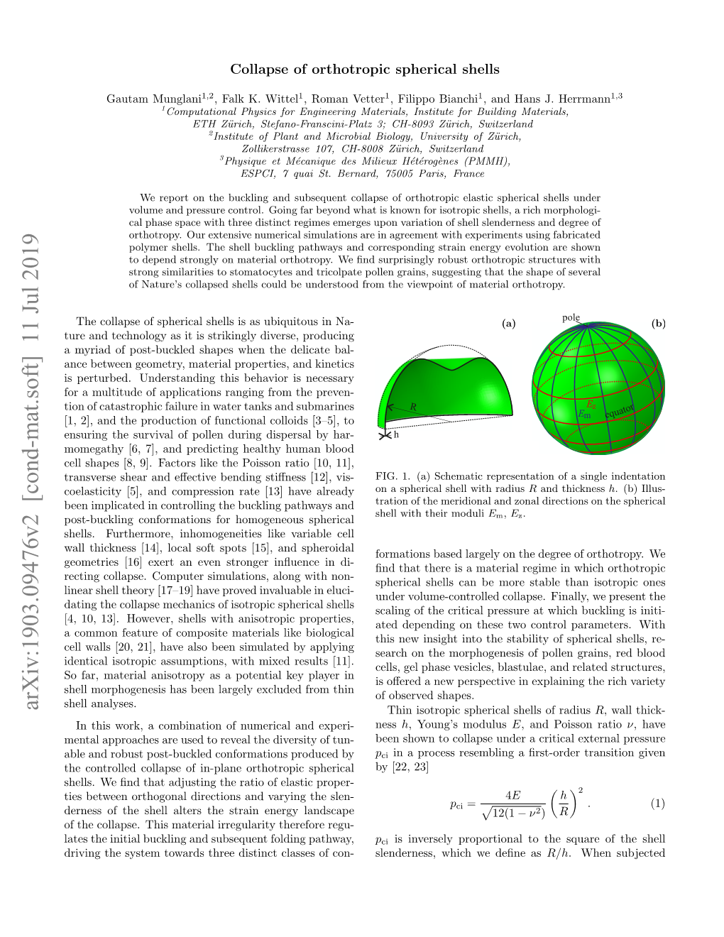 Collapse of Orthotropic Spherical Shells