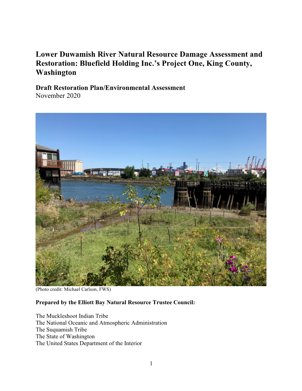 Lower Duwamish River Natural Resource Damage Assessment and Restoration: Bluefield Holding Inc.’S Project One, King County, Washington