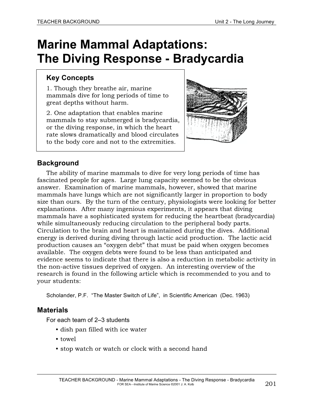 Marine Mammal Adaptations: the Diving Response - Bradycardia